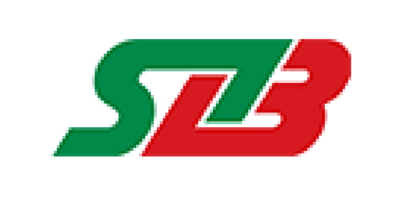 STLB Logo grün und rot